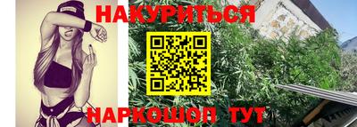 наркотики Новозыбков