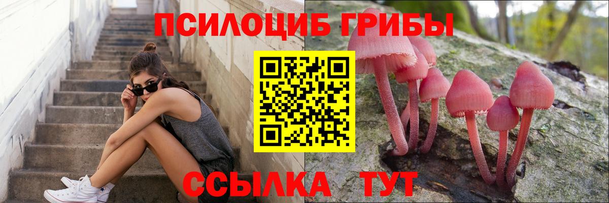 Псилоцибиновые грибы GOLDEN TEACHER Глазов